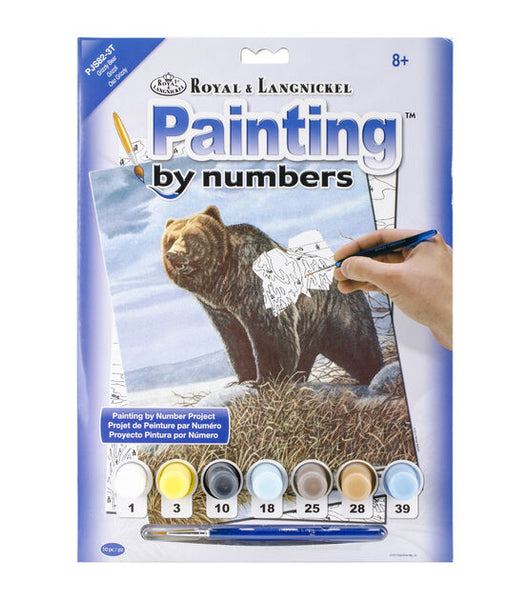 Royal Brush Paint By Number Junior Small Grizzly Bear