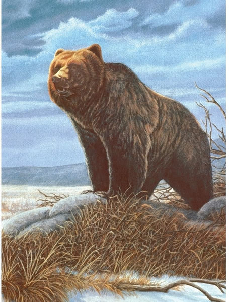 Royal Brush Paint By Number Junior Small Grizzly Bear