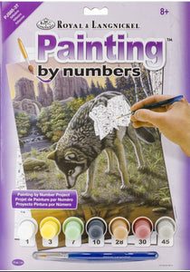 Royal Brush Paint By Number Junior Small Reflections
