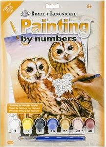 Royal Brush Paint By Number Junior Small Tanny Owls