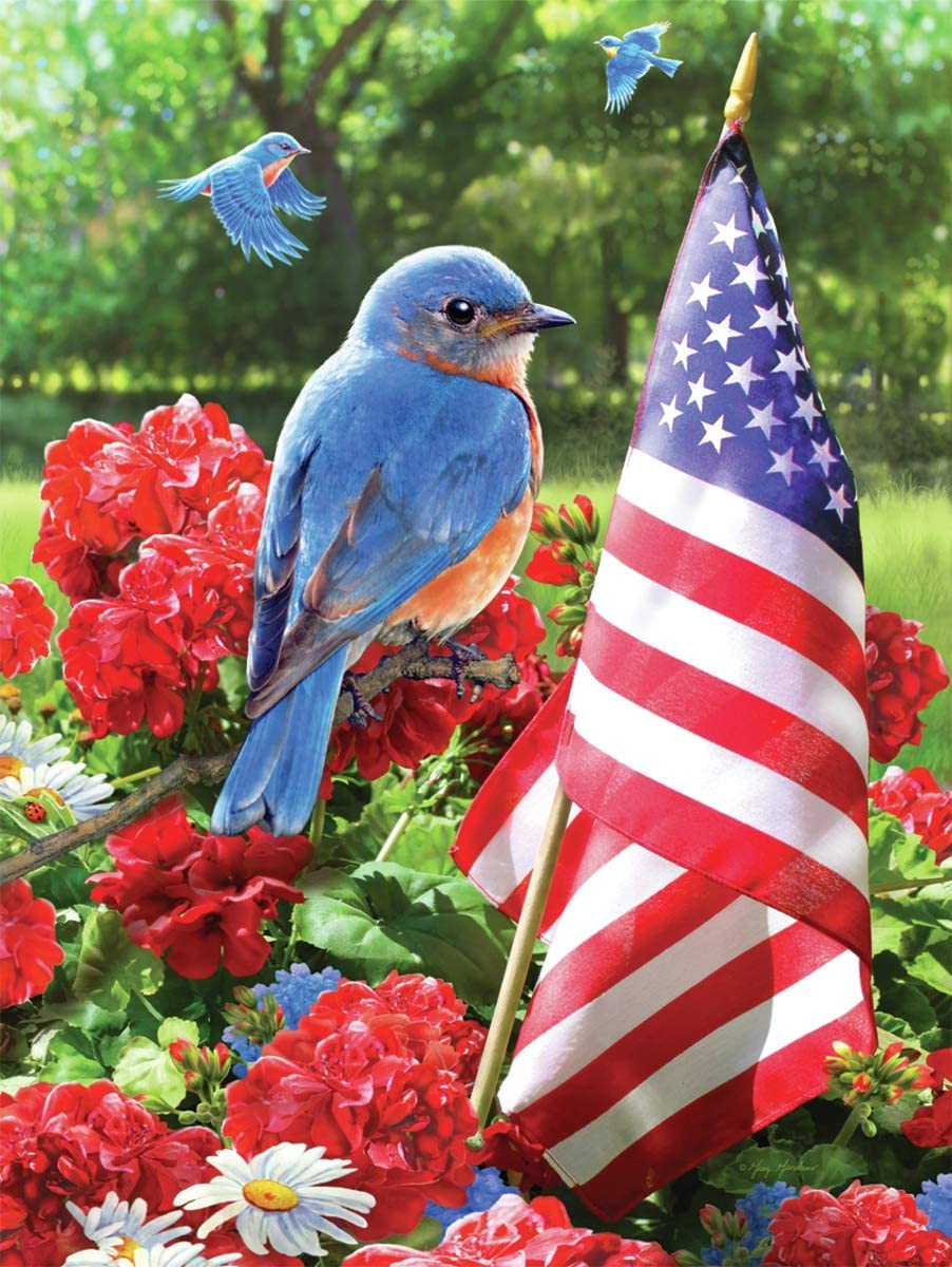 Jr PBN Patriotic Bluebird