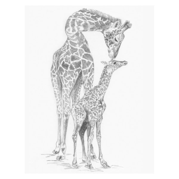 SKETCH BY NUMBER GIRAFFE&BABY