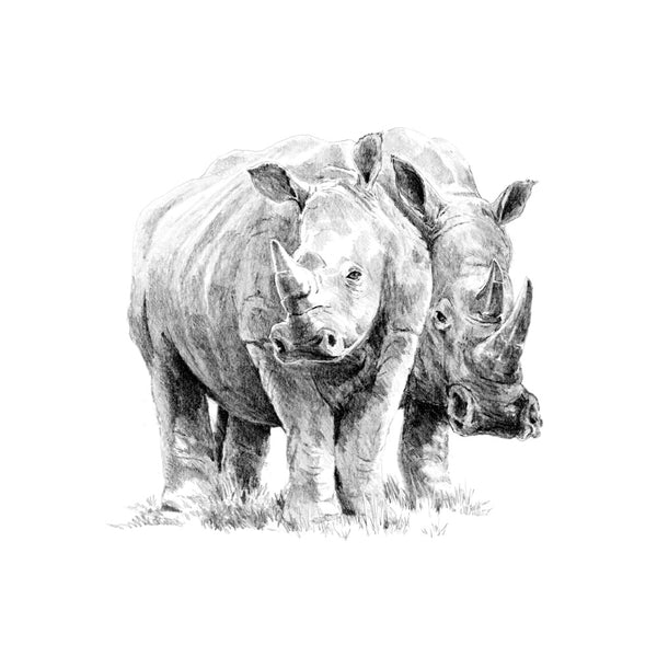 Royal Brush Sketch By Number Rhino Pair
