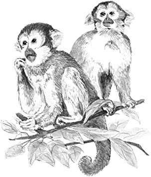 Royal Brush Sketch by Number Monkeys