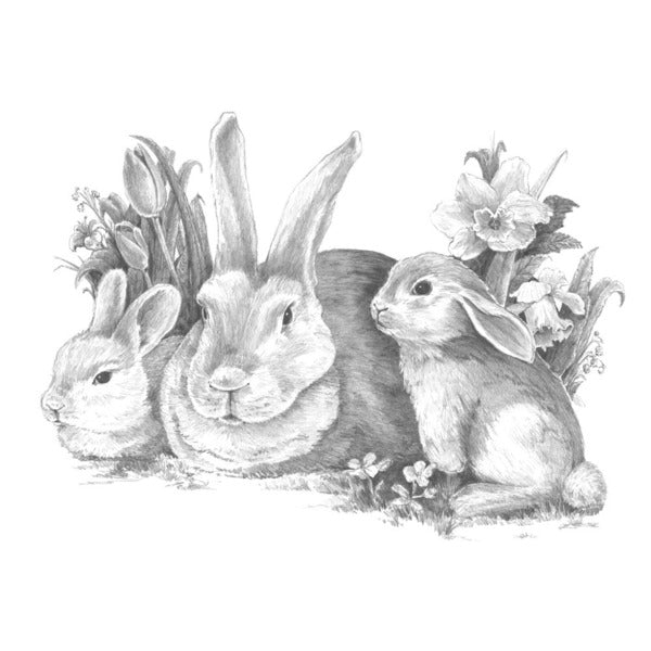 Bunnies Large Sketching Made E