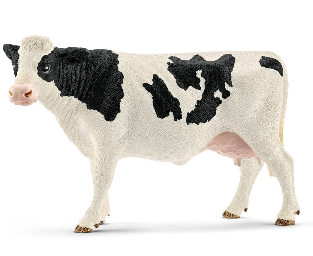 Holstein Cow