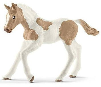 Paint Horse Foal