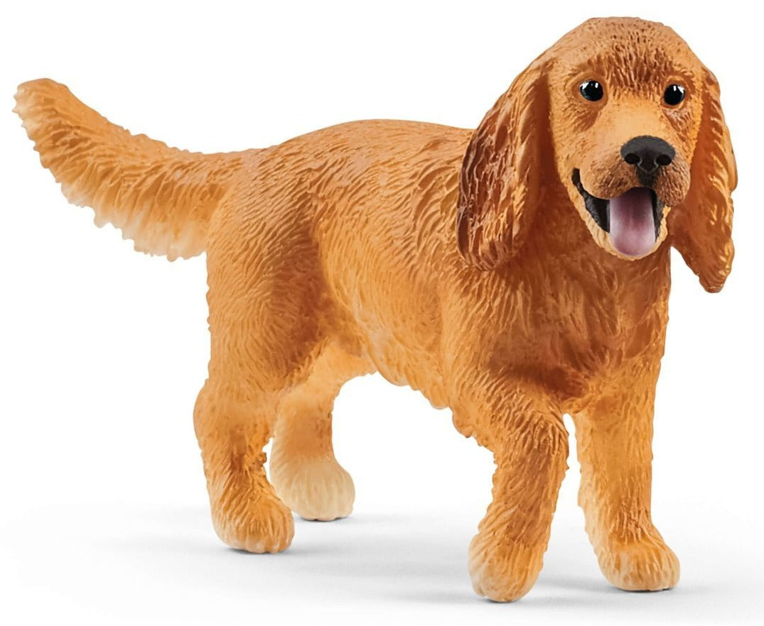 English Cocker Spaniel