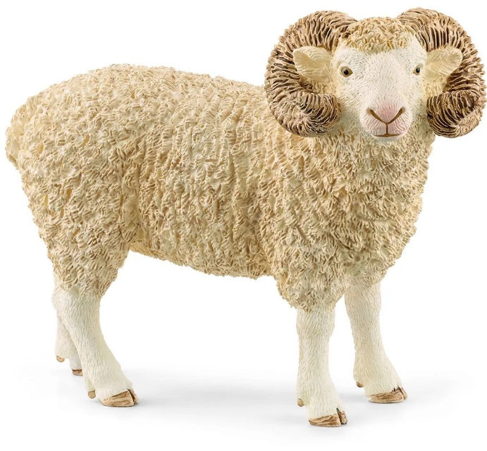 Ram