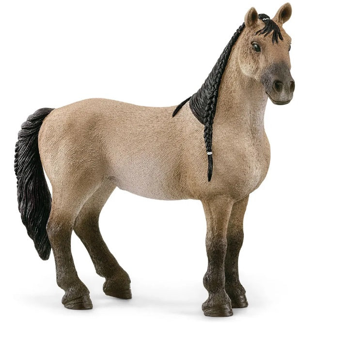 Criollo Definitivio Mare