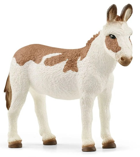 American Spotted Donkey