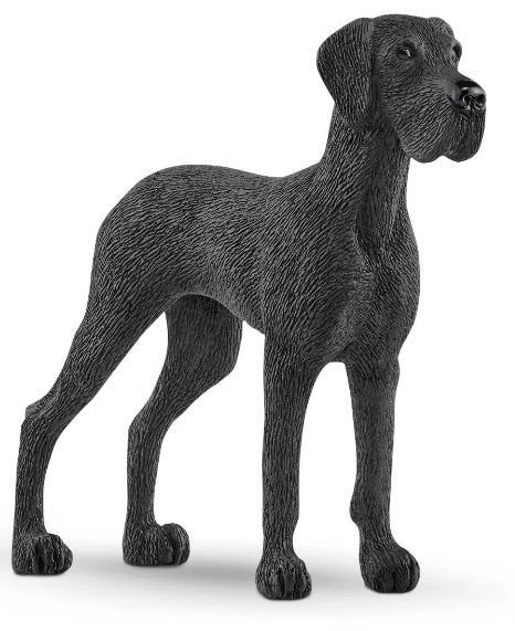 Great Dane