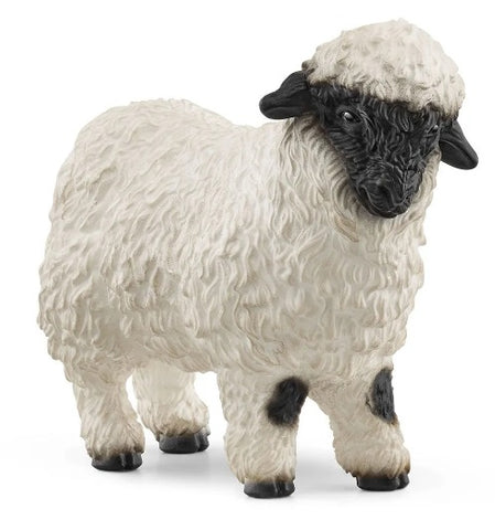 Valais Black-Nosed Sheep