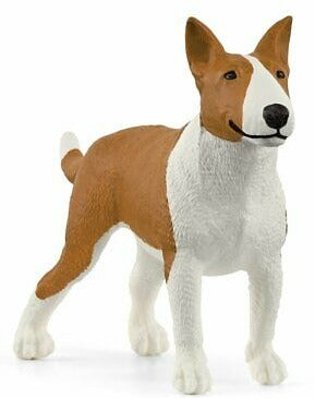 Bull Terrier