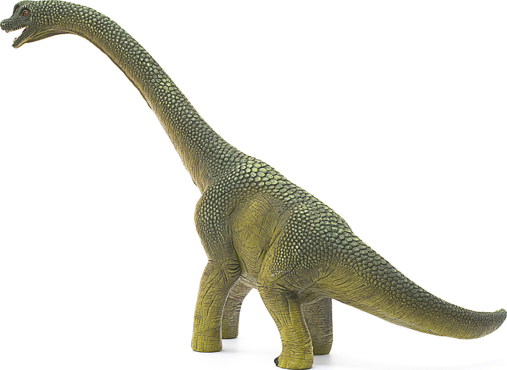Brachiosaurus
