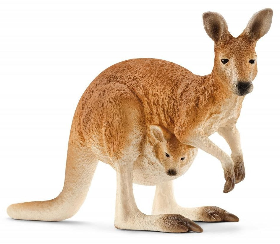 Kangaroo