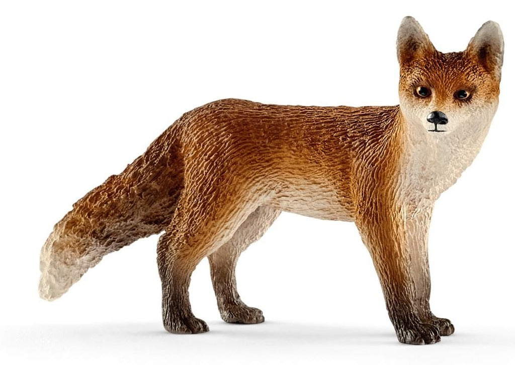 Fox