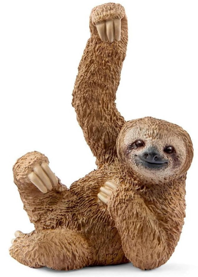 Sloth