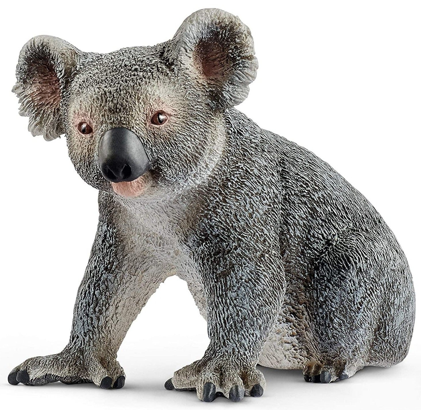 Koala Bear
