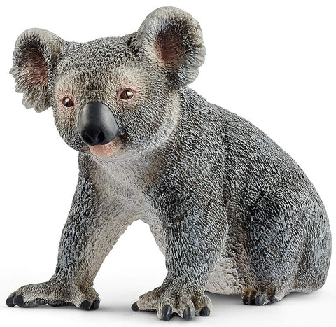 Koala Bear