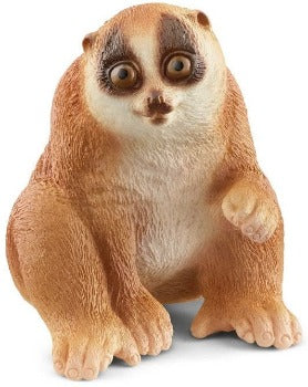 Slow Loris