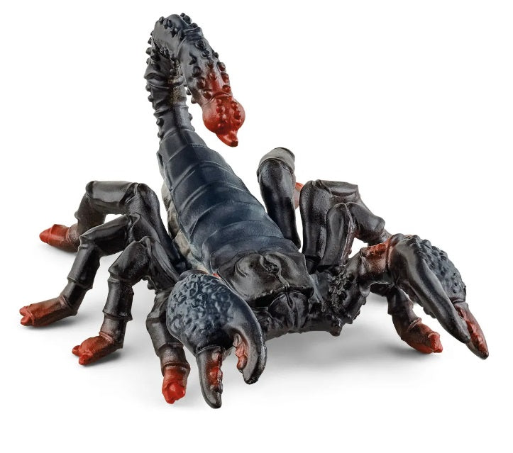 Emperor Scorpion