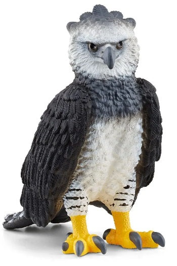 Harpy Eagle