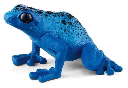 Blue Poison Dart Frog