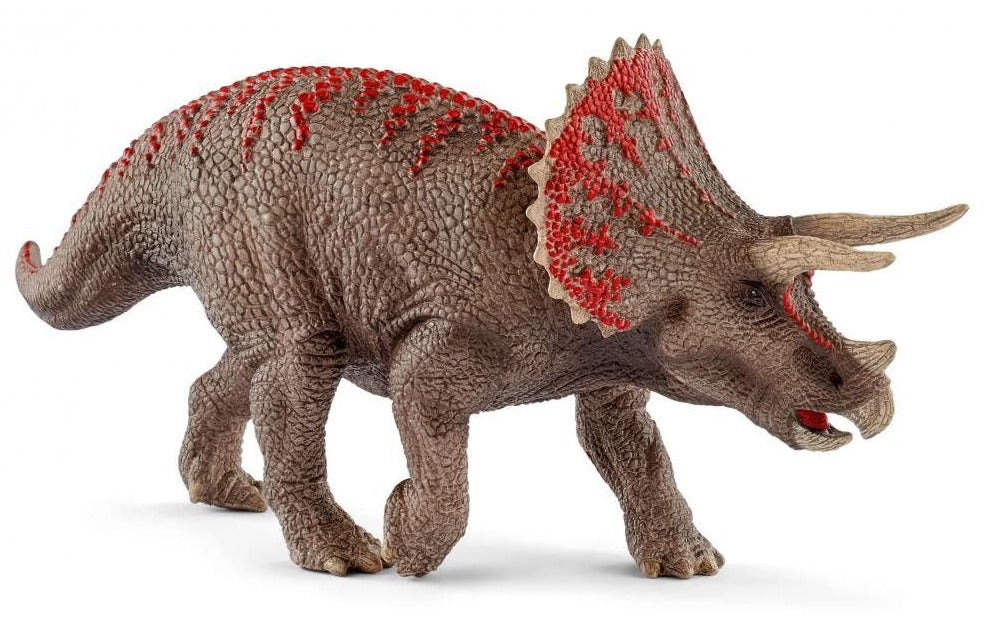 Triceratops