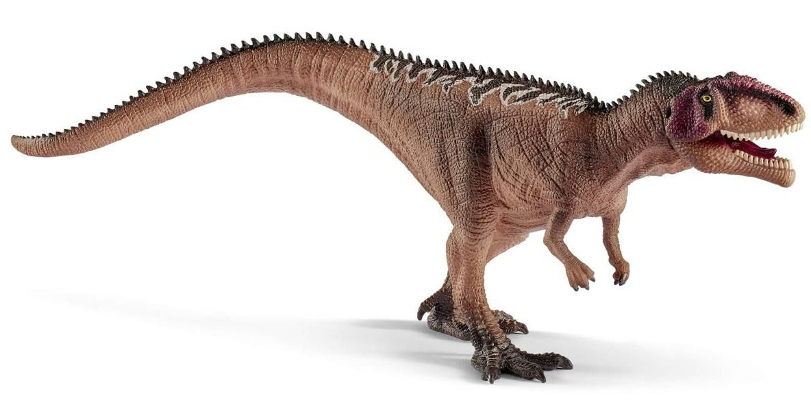 Giganotosaurus Juvenile