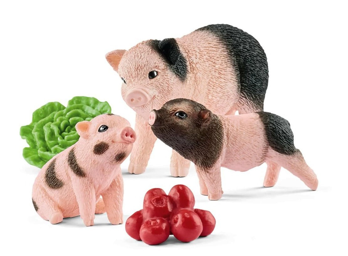 Miniature Pig Mother/Piglets