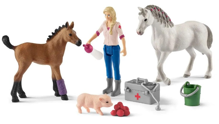 Vet Visiting Mare & Foal