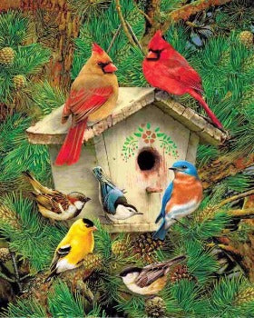 Feathered Retreat 1000PC Puzzle