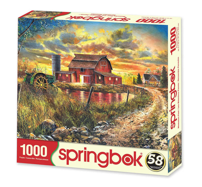 1000pc Memories Past Puzzle
