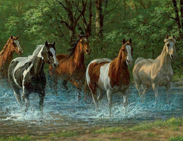 36pc Summer Creek