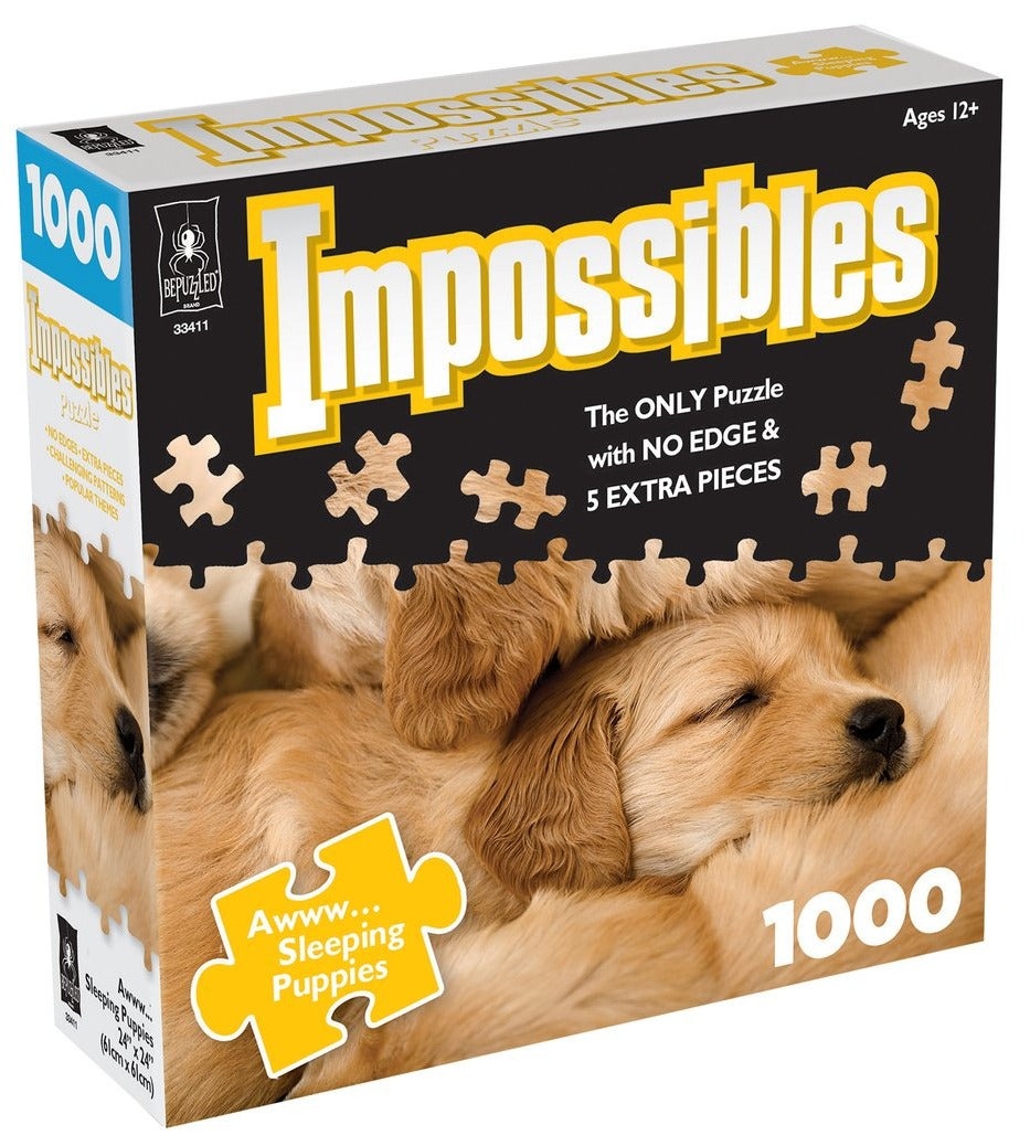 Puzzles box with sleeping golden retriever.