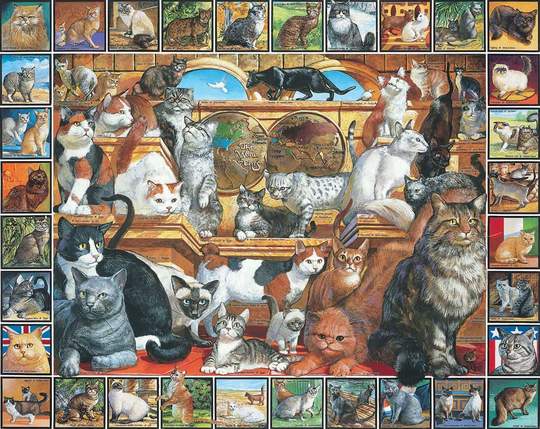 1000pc World of Cats Puzzle