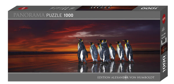 King Penguins 1000pc Panoramic Puzzle