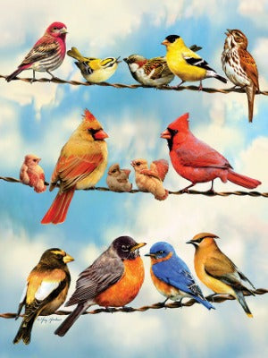 Birds on a Wire 500pc Puzzle