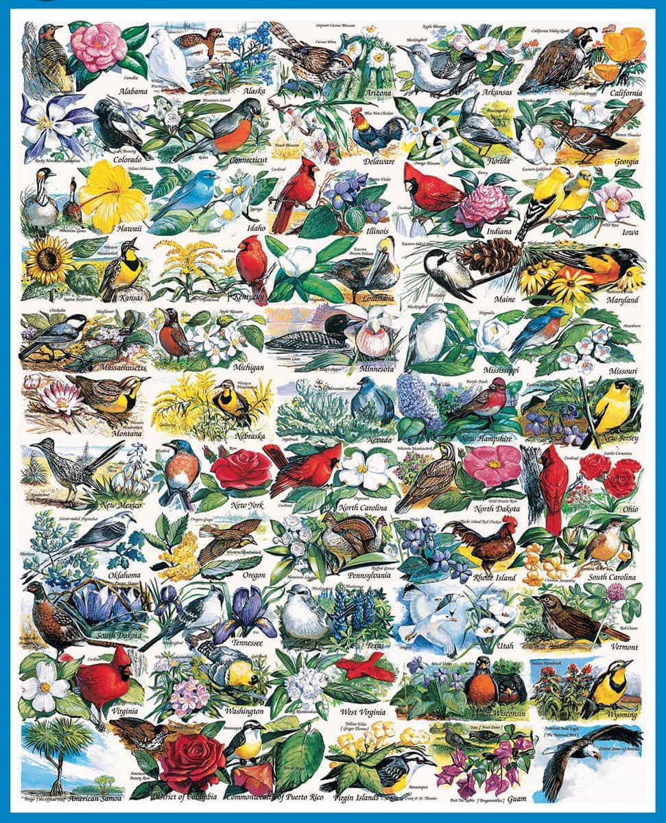 1000pc State Birds&Flowers Puz