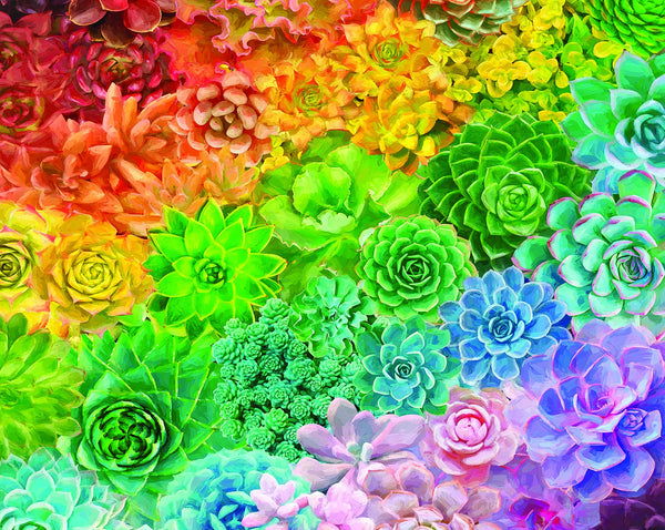 Succulent Rainbow 1000pc Puzzle
